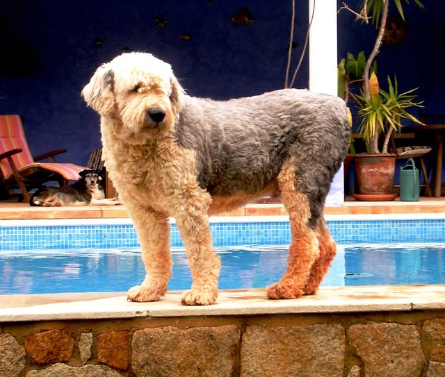 Max 