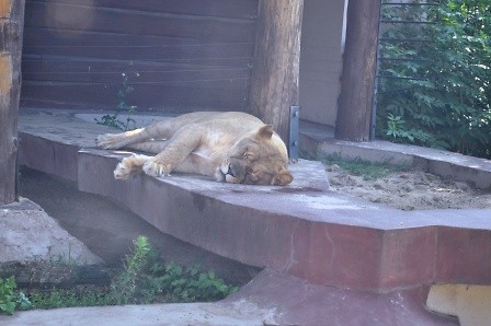 Zoo
