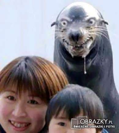 BIBA! 