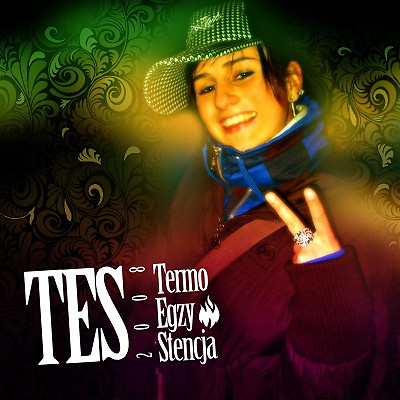 3. Tes