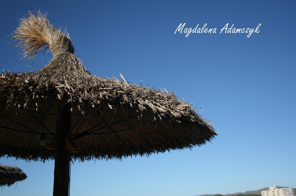 16. Somiany parasol.