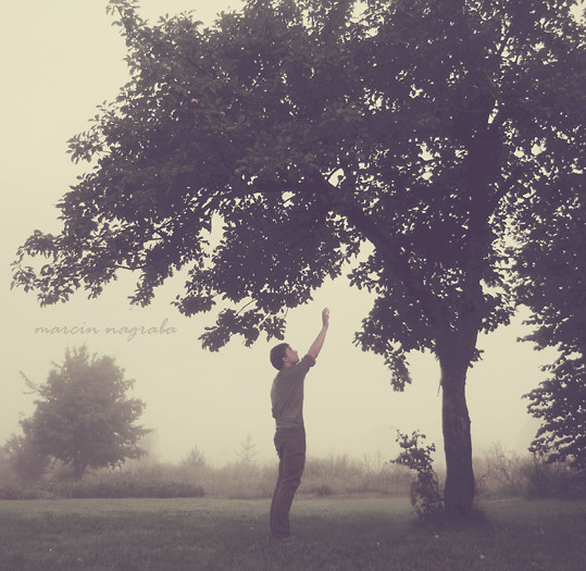Conversation with a tree