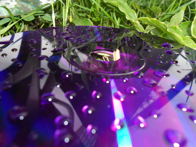 CD
