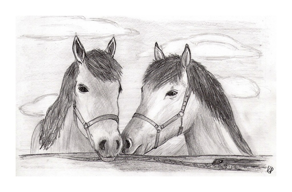 horsy ;d