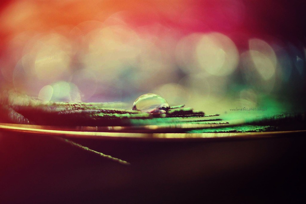 Drop.