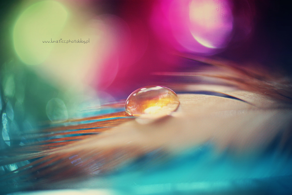 Drop.