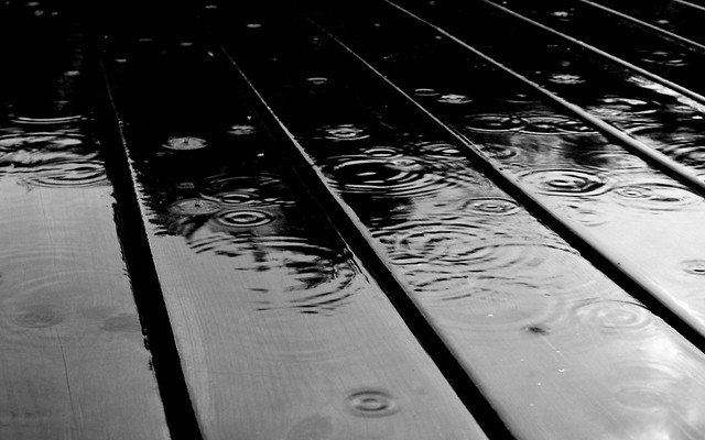 Rain.