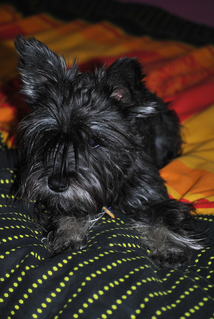 Brandy :)
