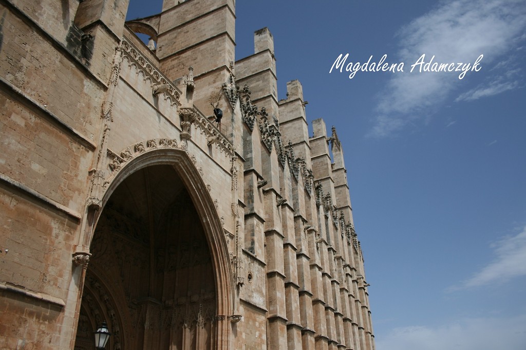 20. Katedra.