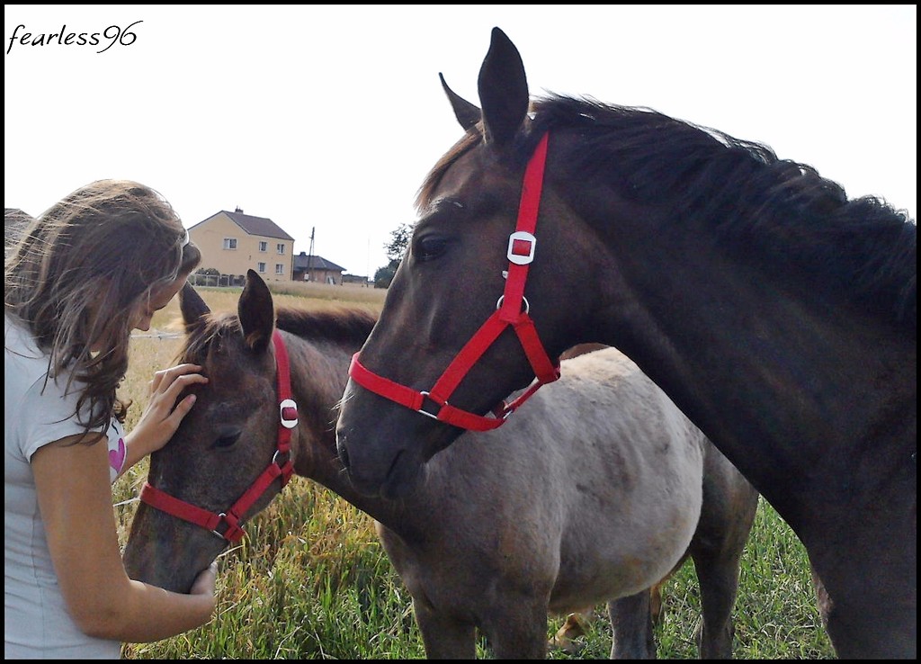 z Harf i Himen ♥