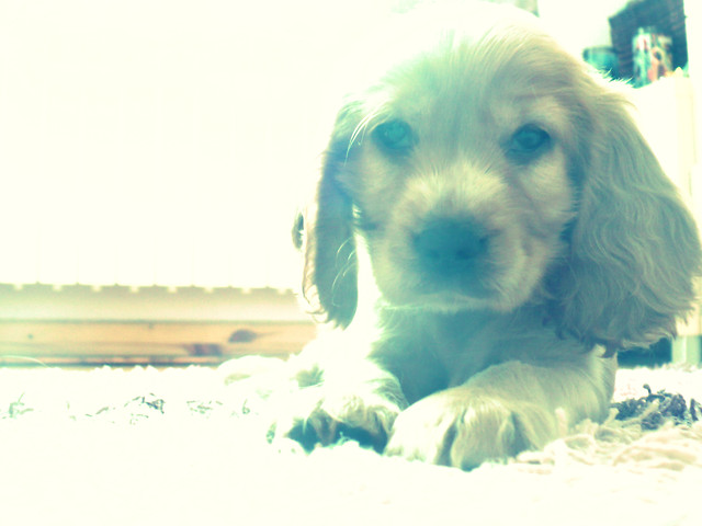steefaniee, podaj mydlo .