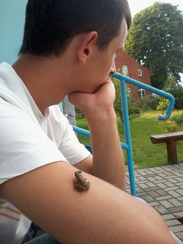 skarb;*