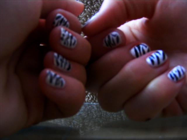 Zebra