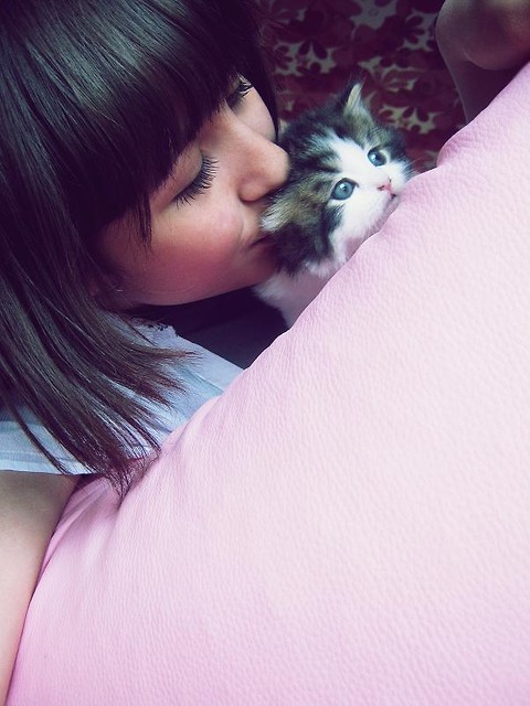 kociak.