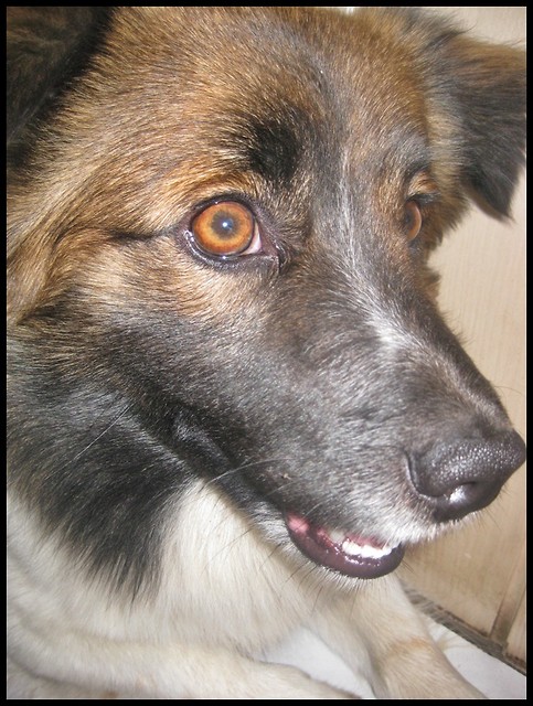 Mj kochany Tofciu:*