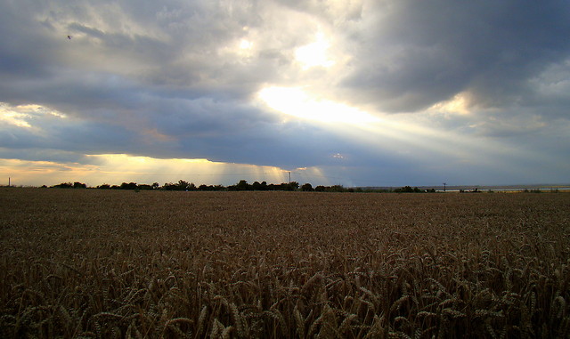 widok z mojego okna3