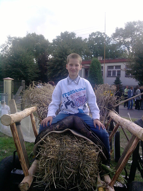 wszyztko