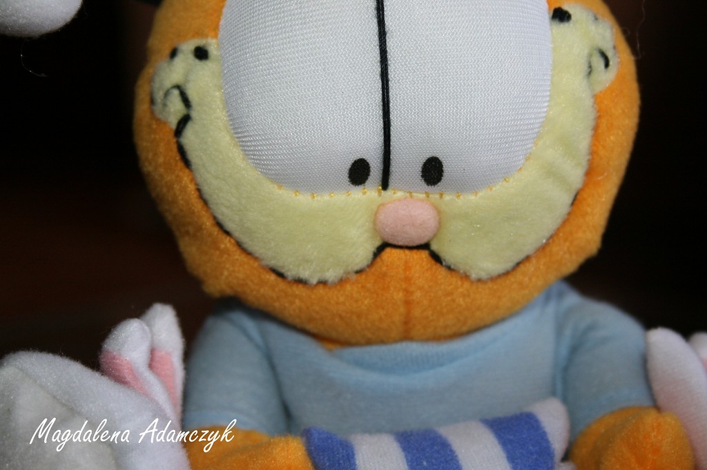 34. Garfield.