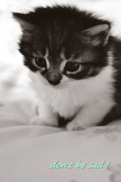 don't be sad ! , please ; ((  ..