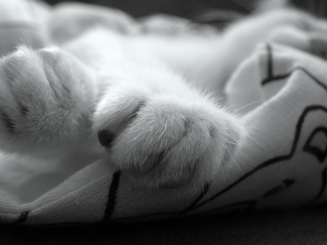 ♥