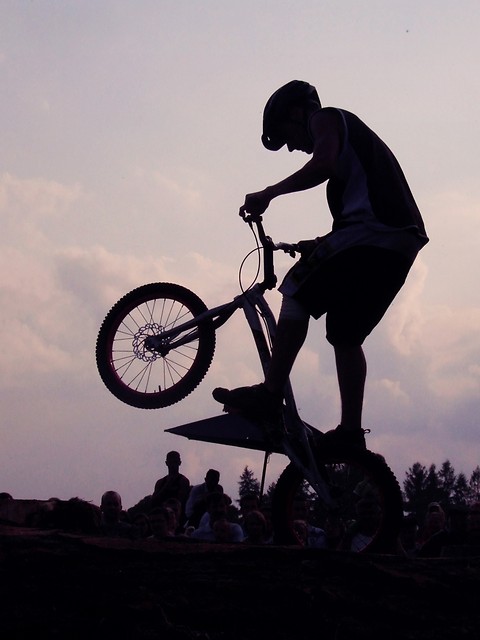 pokazy