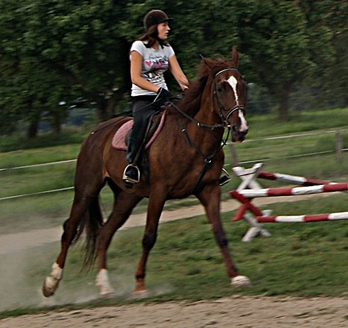 Bajankaa ♥♥♥