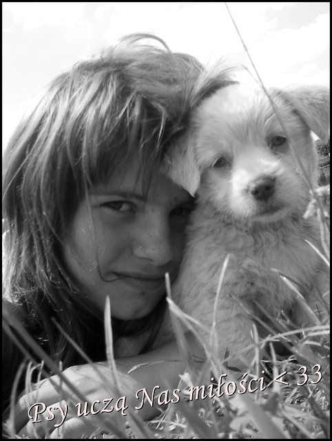 Z Szafir : * < 333