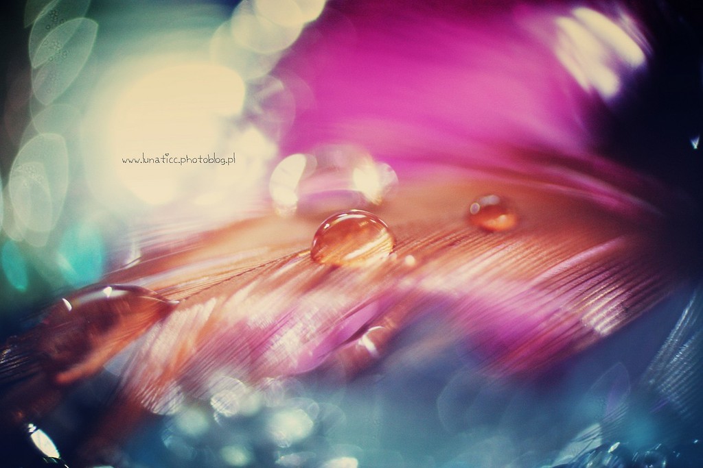 Drop.