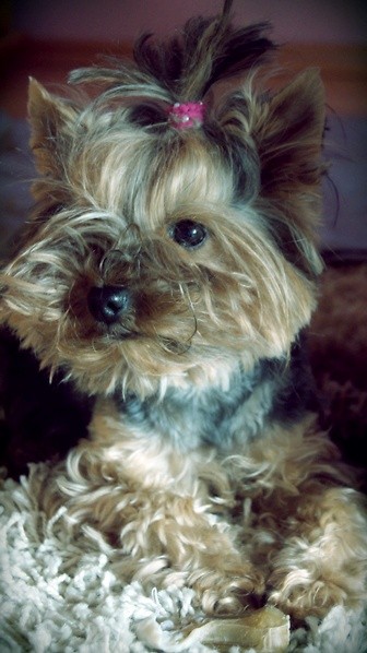 lady.