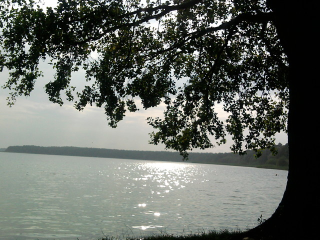 Anastazewo 