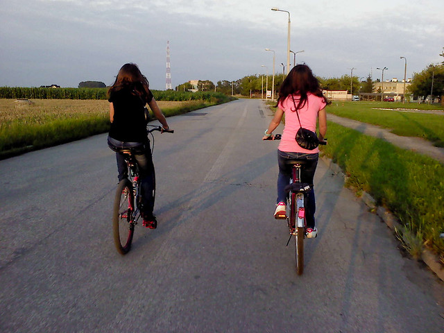 Roweriks