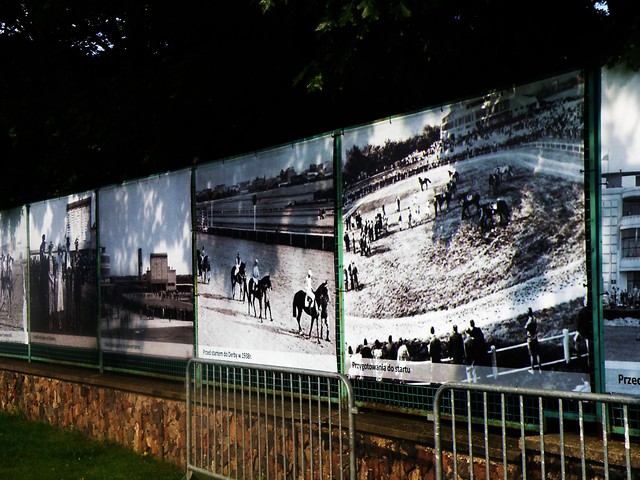 Suewiec 2011