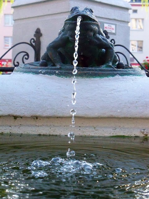  Frog .
