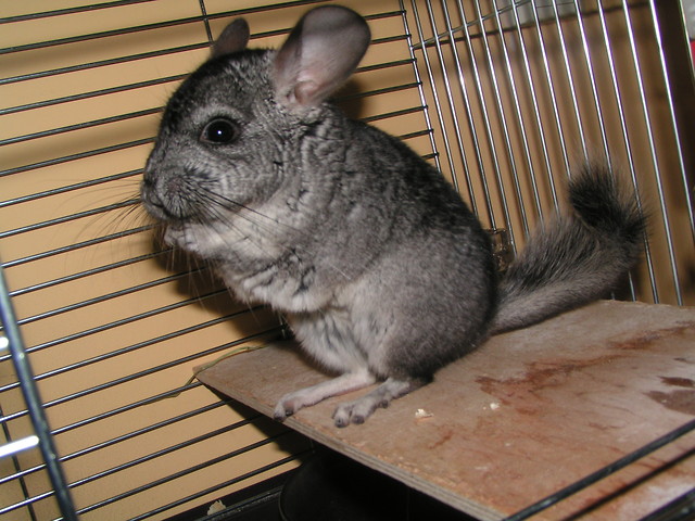 moja♥moja♥mojaaaaa!&