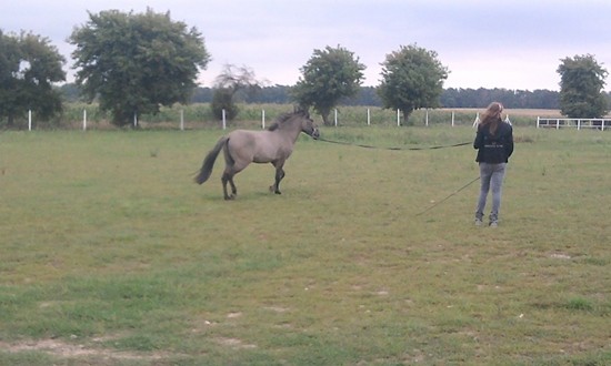 Miron ♥