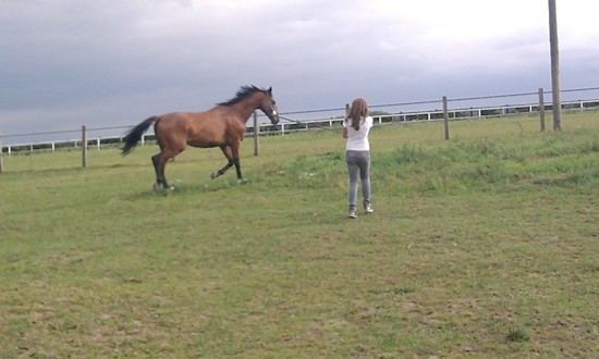 Jerry ♥