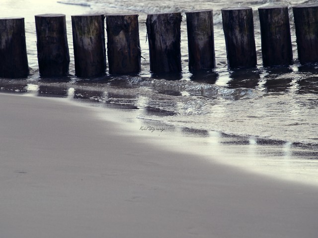 Photograhpy