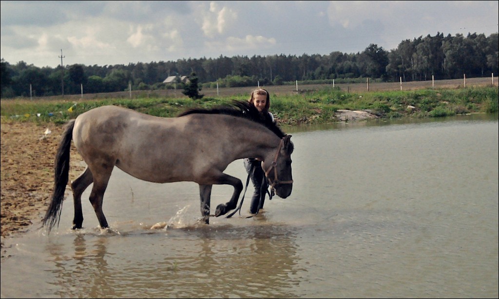 Katargina