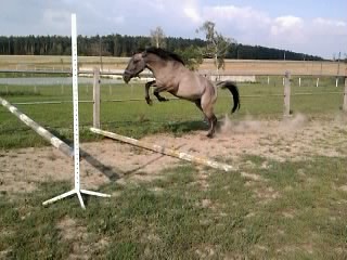 Miron ♥