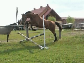Jerry ♥