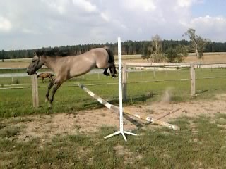 Miron ♥