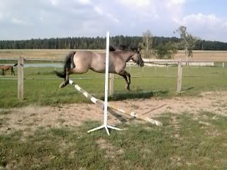 Miron ♥