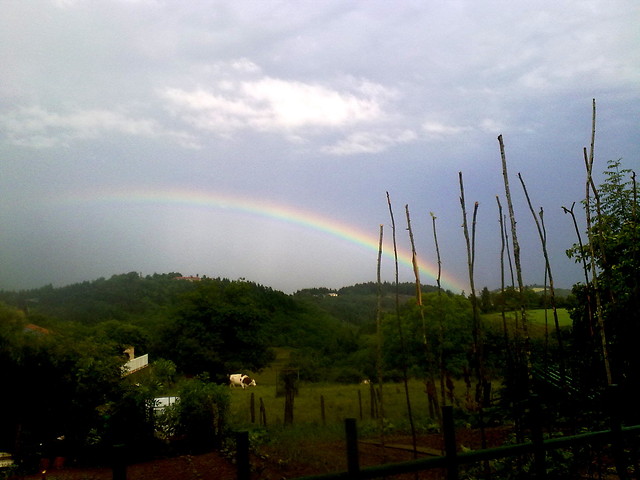 Rainbow .