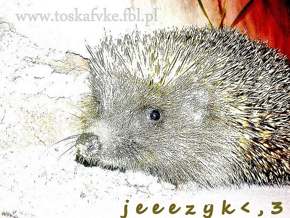 j e e e  y k < , 3