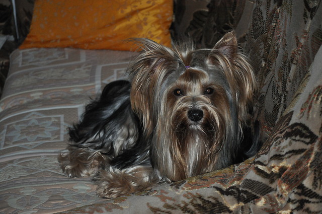 Milka :)