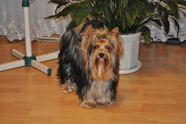 Milka :)