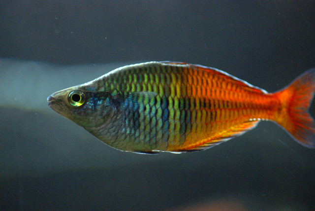zapomnienie.