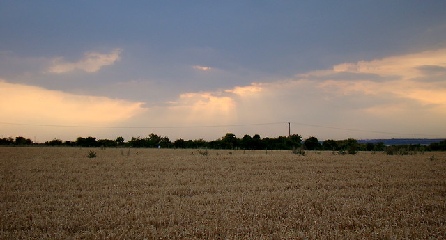 widok z mojego okna6