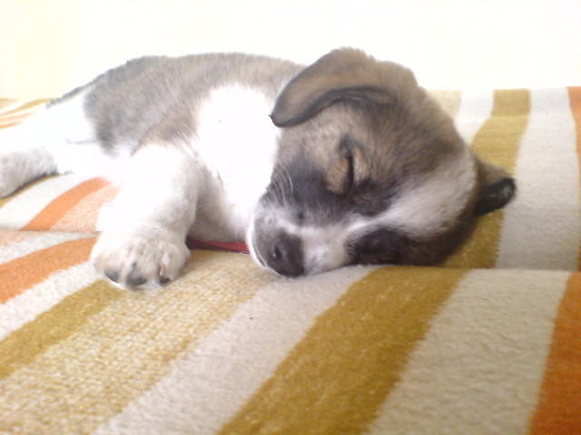 Misia ♥ 