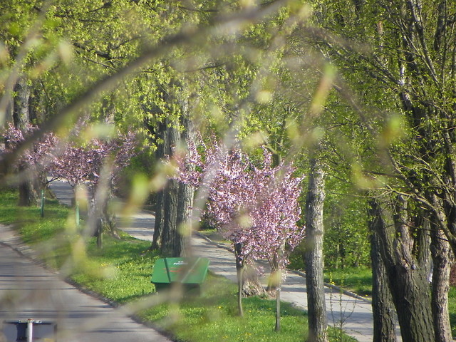 wiosna*
